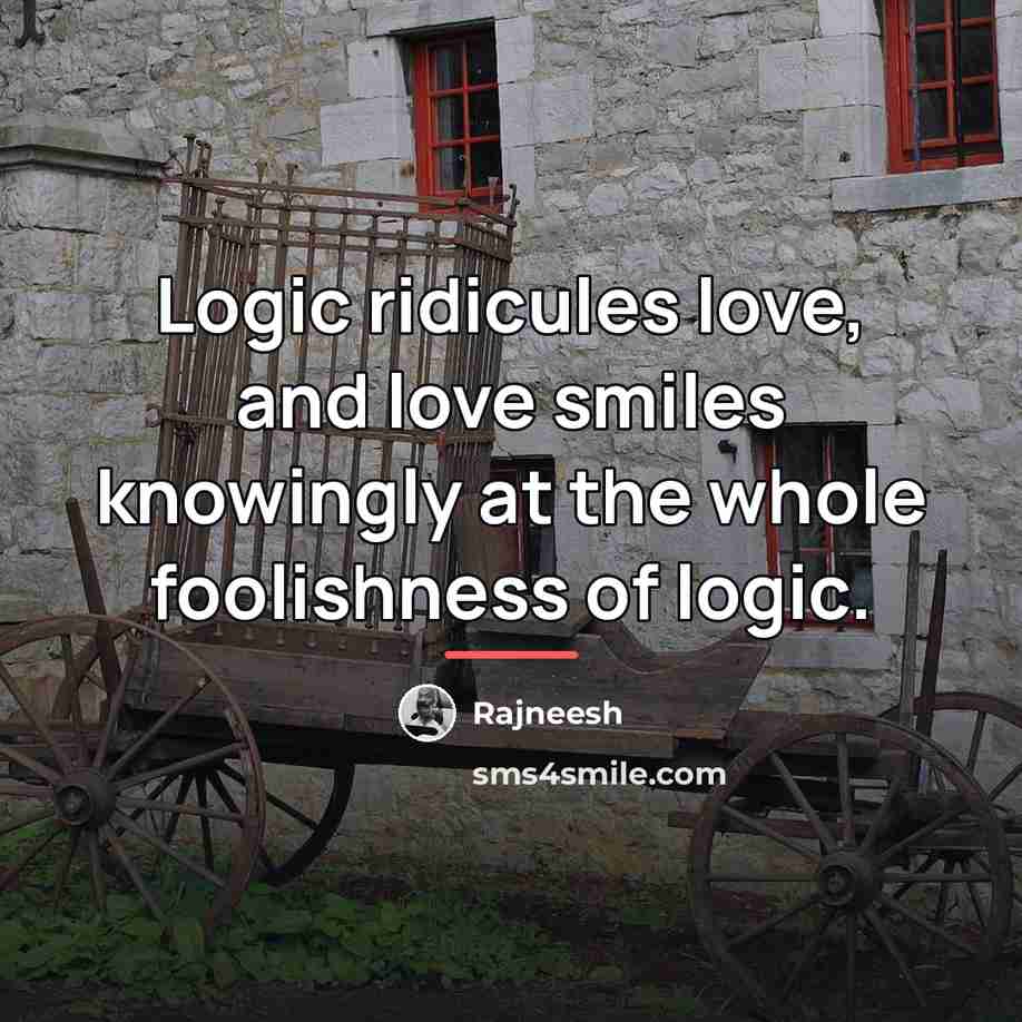“Logic ridicules love, and love smiles knowingly at the whole…” quote by Rajneesh