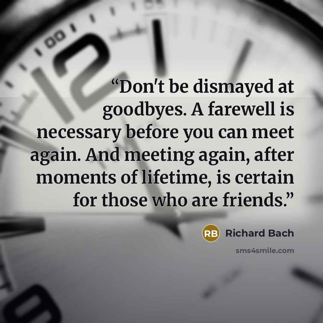 “Don't be dismayed at goodbyes. A farewell is necessary before you can meet again. And meeting again, after moments of lifetime, is certain for those who are friends.” quote by Richard Bach