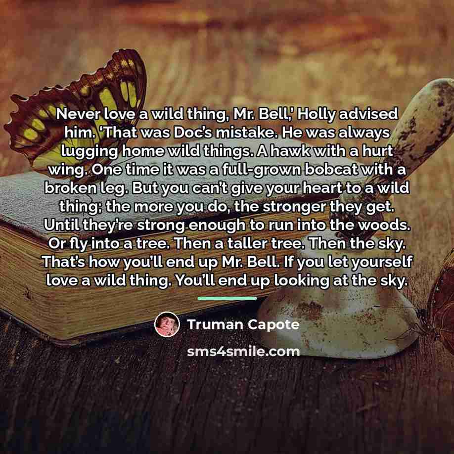“Never love a wild thing, Mr. Bell,’ Holly advised him.…” quote by Truman Capote