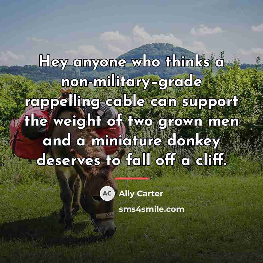 “Hey anyone who thinks a non-military–grade rappelling cable can support…” quote by Ally Carter