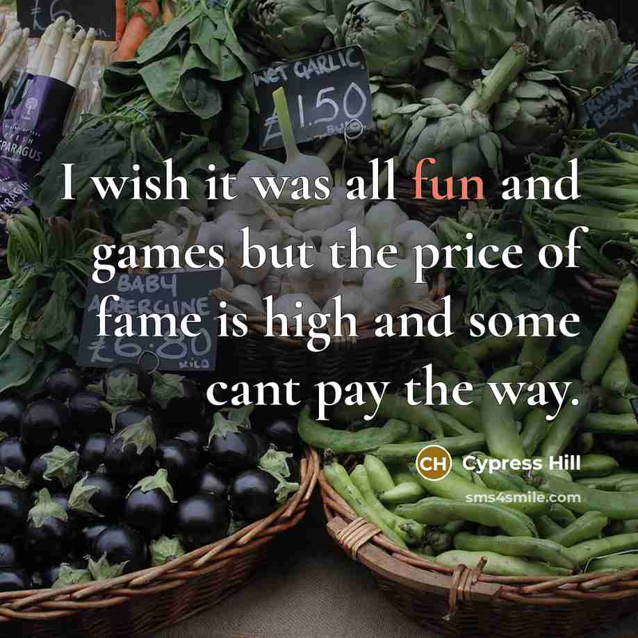 “I wish it was all fun and games but the price of fame is high and some cant pay the way.” quote by Cypress Hill
