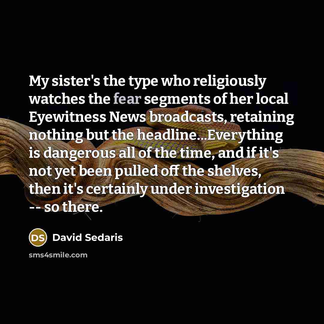 “My sister's the type who religiously watches the fear segments…” quote by David Sedaris