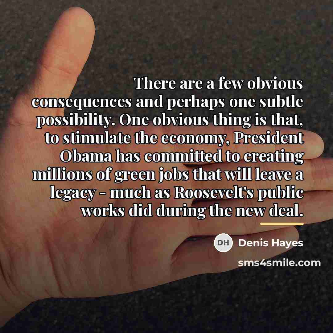 “There are a few obvious consequences and perhaps one subtle…” quote by Denis Hayes