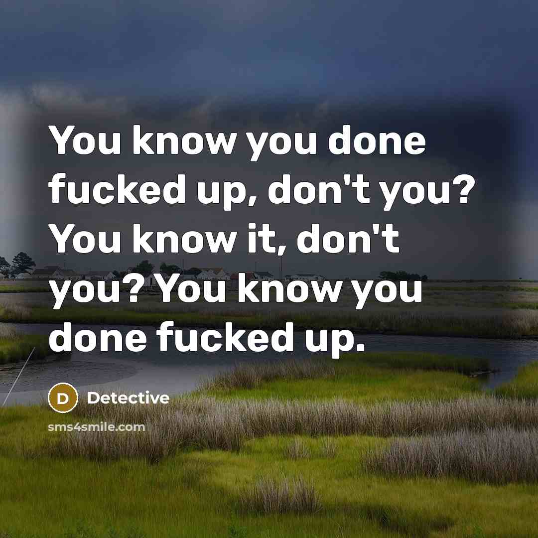 “You know you done fucked up, don't you? You know it, don't you? You know you done fucked up.” quote by Detective