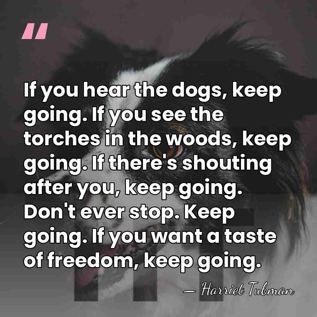 If you hear the dogs, keep going. If you see the torches&hellip; - Harriet Tubman