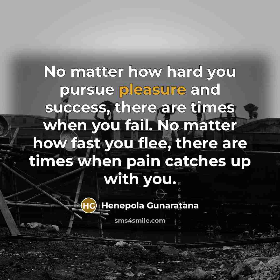 “No matter how hard you pursue pleasure and success, there…” quote by Henepola Gunaratana