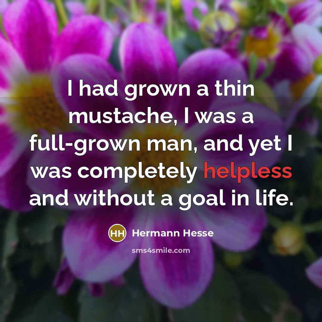 “I had grown a thin mustache, I was a full-grown…” quote by Hermann Hesse