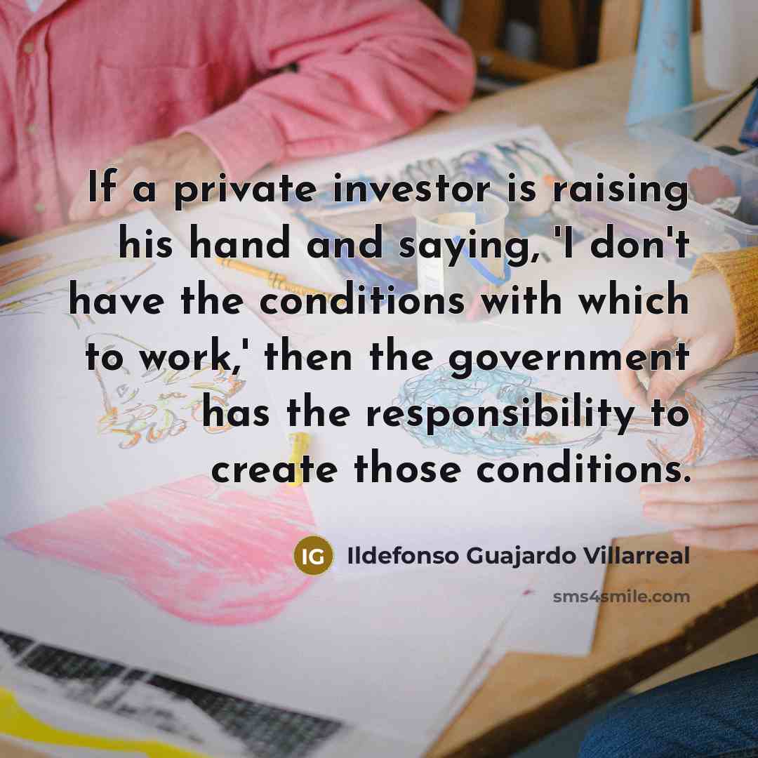 “If a private investor is raising his hand and saying,…” quote by Ildefonso Guajardo Villarreal
