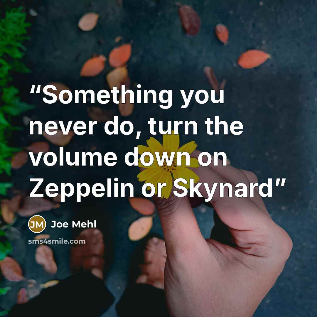 “Something you never do, turn the volume down on Zeppelin or Skynard” quote by Joe Mehl