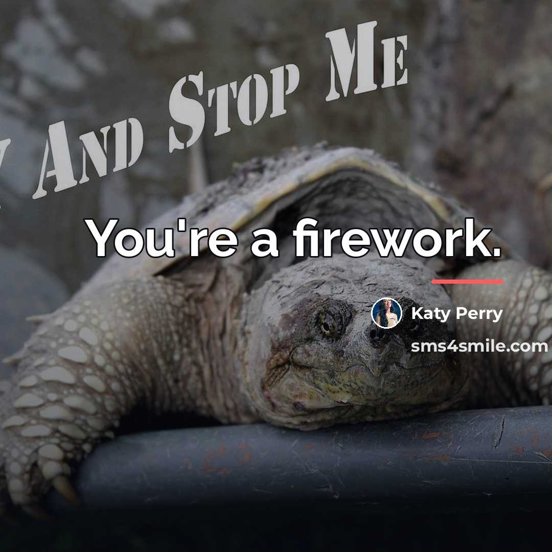 “You're a firework.…” quote by Katy Perry