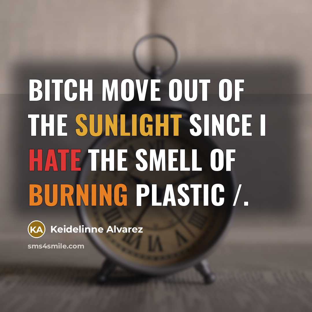 “Bitch move out of the sunlight since I hate the…” quote by Keidelinne Alvarez
