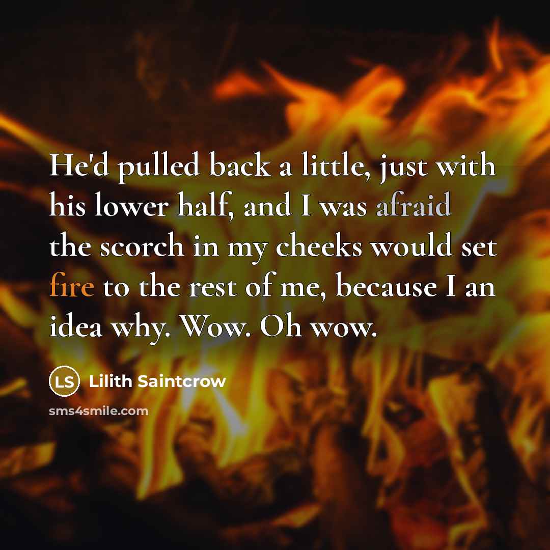 “He'd pulled back a little, just with his lower half, and I was afraid the scorch in my cheeks would set fire to the rest of me, because I an idea why. Wow. Oh wow.” quote by Lilith Saintcrow