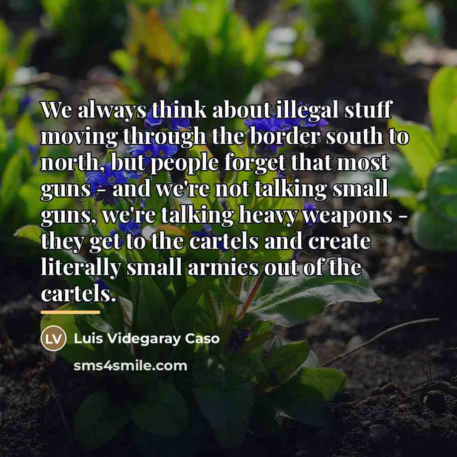 “We always think about illegal stuff moving through the border…” quote by Luis Videgaray Caso