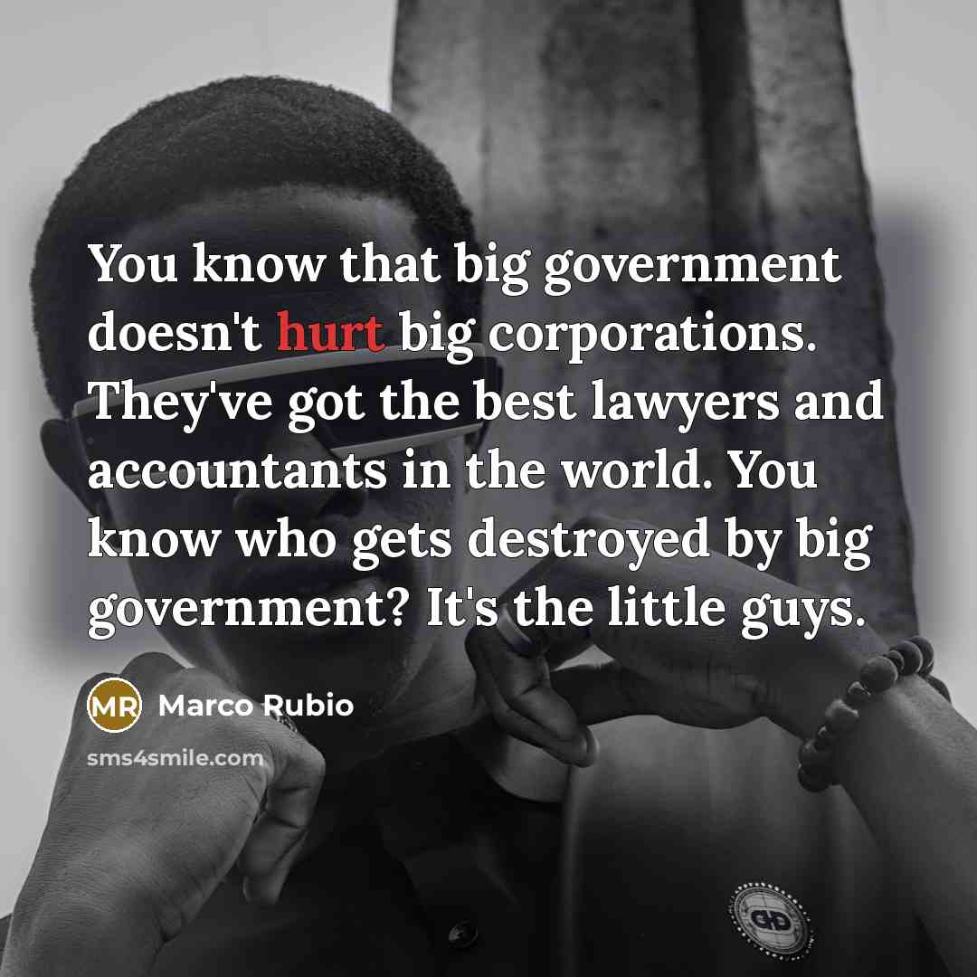 “You know that big government doesn't hurt big corporations. They've…” quote by Marco Rubio