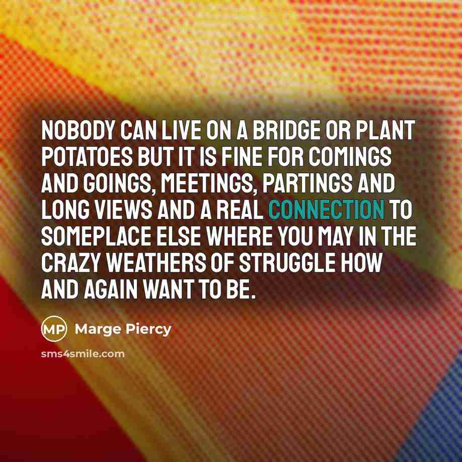 “Nobody can live on a bridge or plant potatoes but…” quote by Marge Piercy
