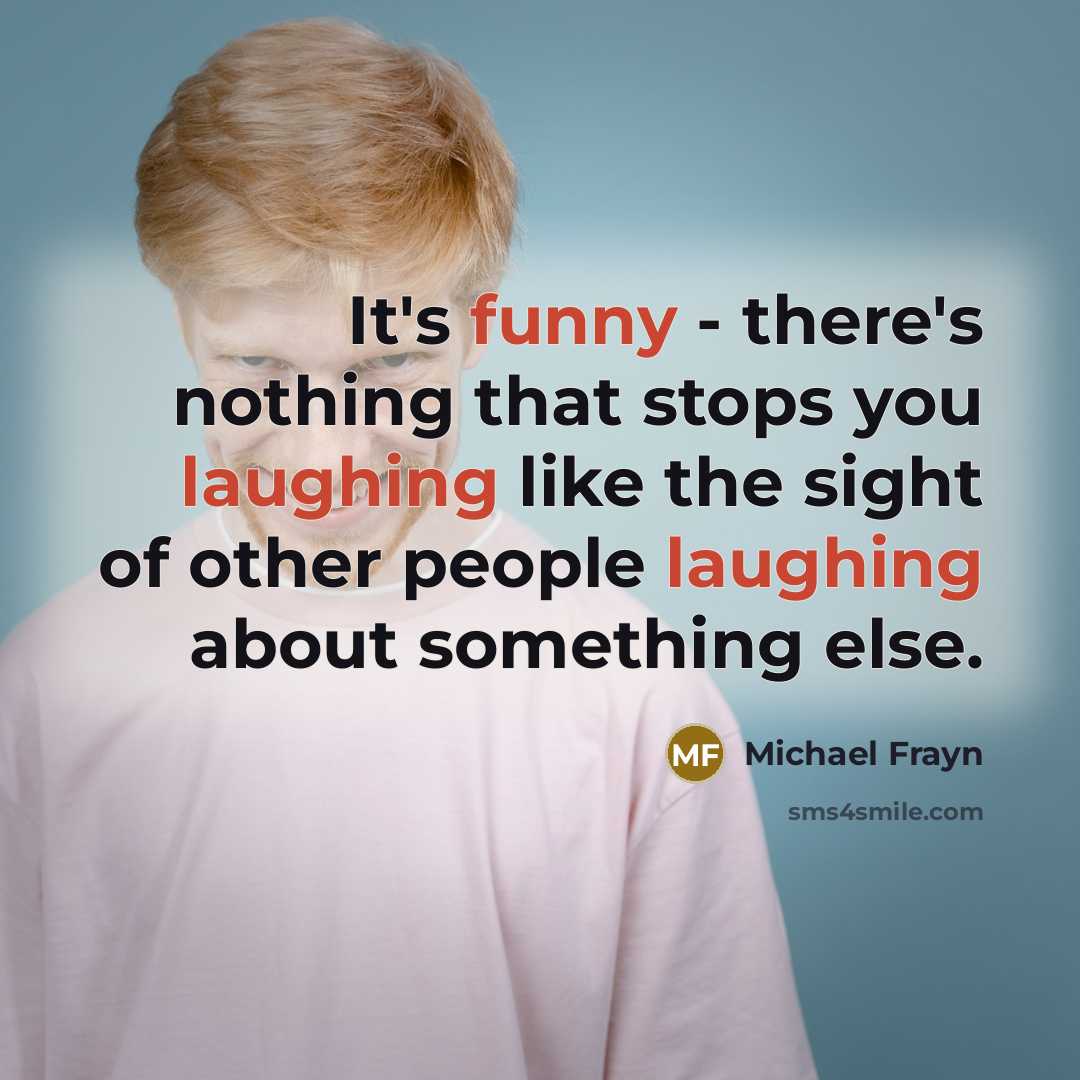 “It's funny - there's nothing that stops you laughing like the sight of other people laughing about something else.” quote by Michael Frayn