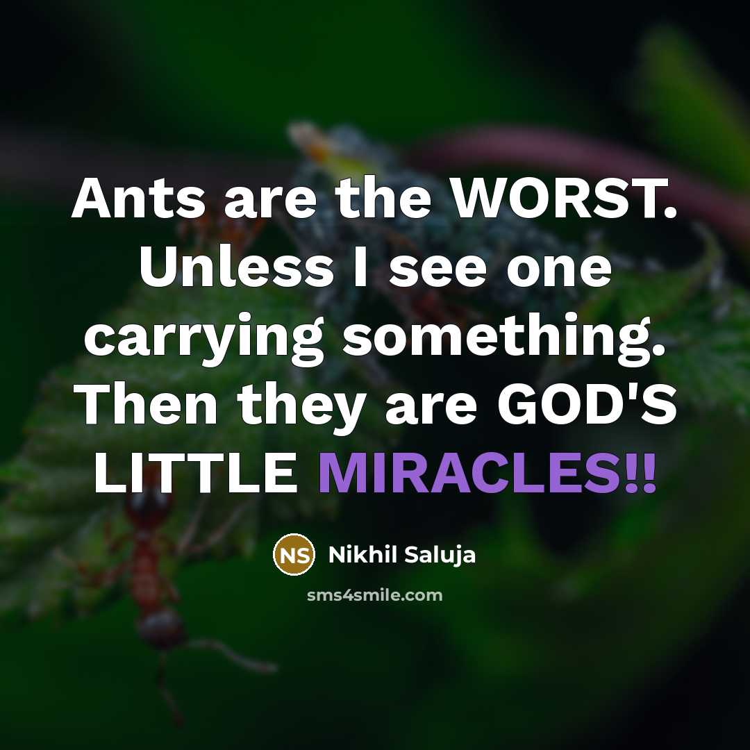 “Ants are the WORST. Unless I see one carrying something. Then they are GOD'S LITTLE MIRACLES!!” quote by Nikhil Saluja