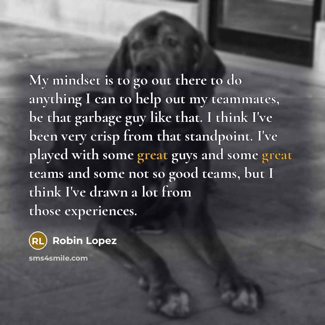 “My mindset is to go out there to do anything…” quote by Robin Lopez