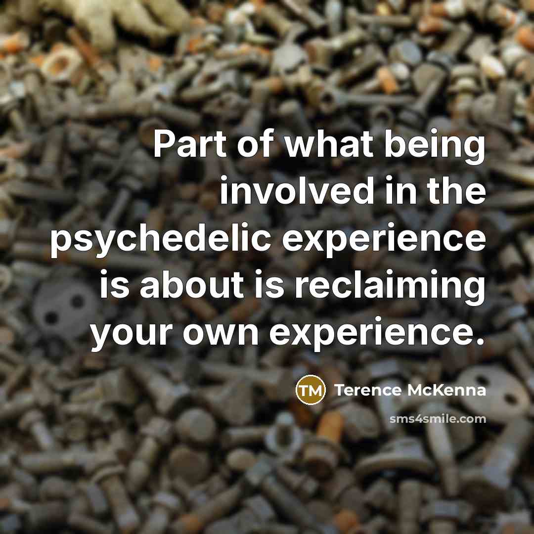 “Part of what being involved in the psychedelic experience is…” quote by Terence McKenna