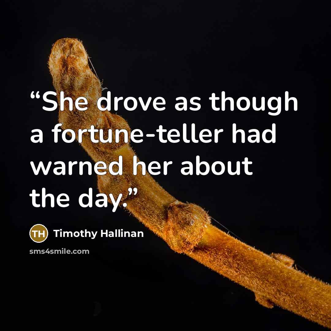 “She drove as though a fortune-teller had warned her about the day.” quote by Timothy Hallinan