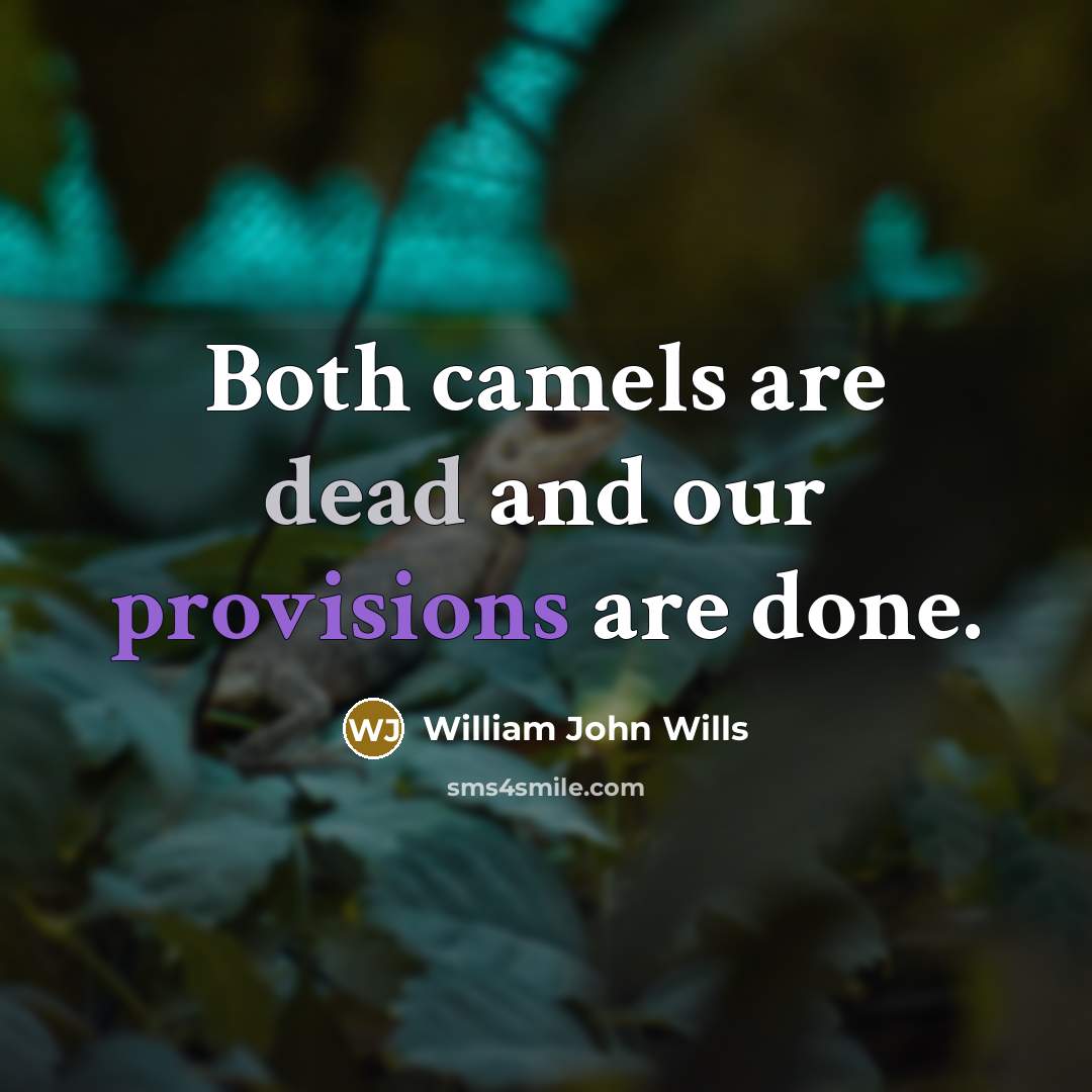 “Both camels are dead and our provisions are done.” quote by William John Wills