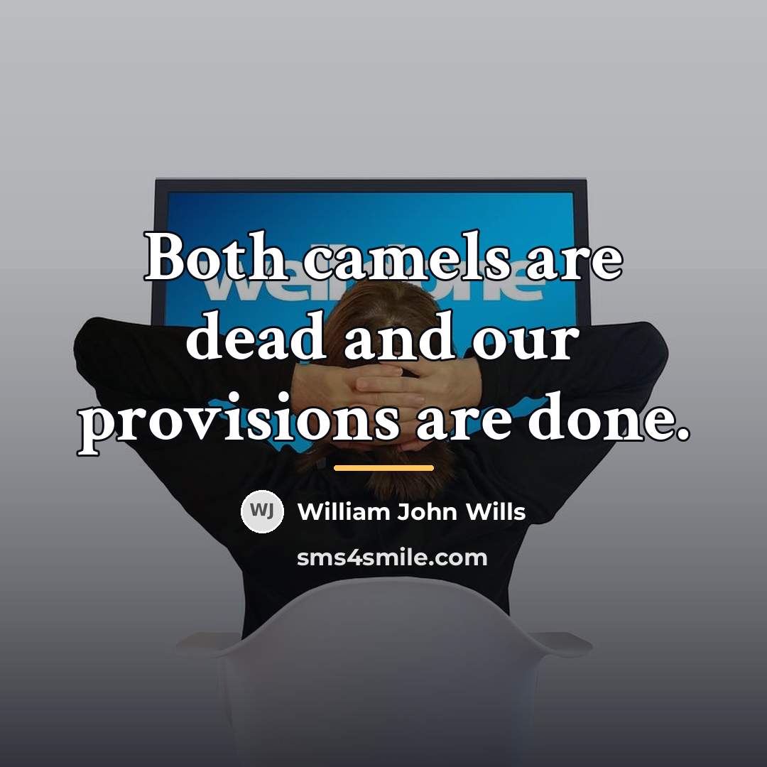 “Both camels are dead and our provisions are done.…” quote by William John Wills