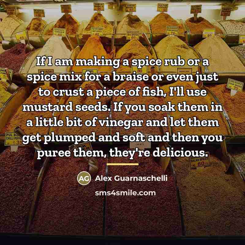 “If I am making a spice rub or a spice…” quote by Alex Guarnaschelli