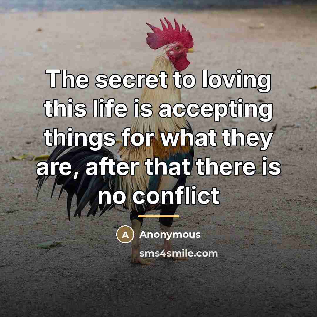 “The secret to loving this life is accepting things for…” quote by Anonymous