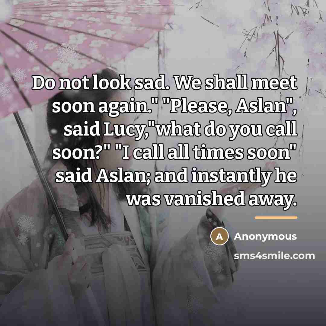 “Do not look sad. We shall meet soon again." "Please,…” quote by Anonymous