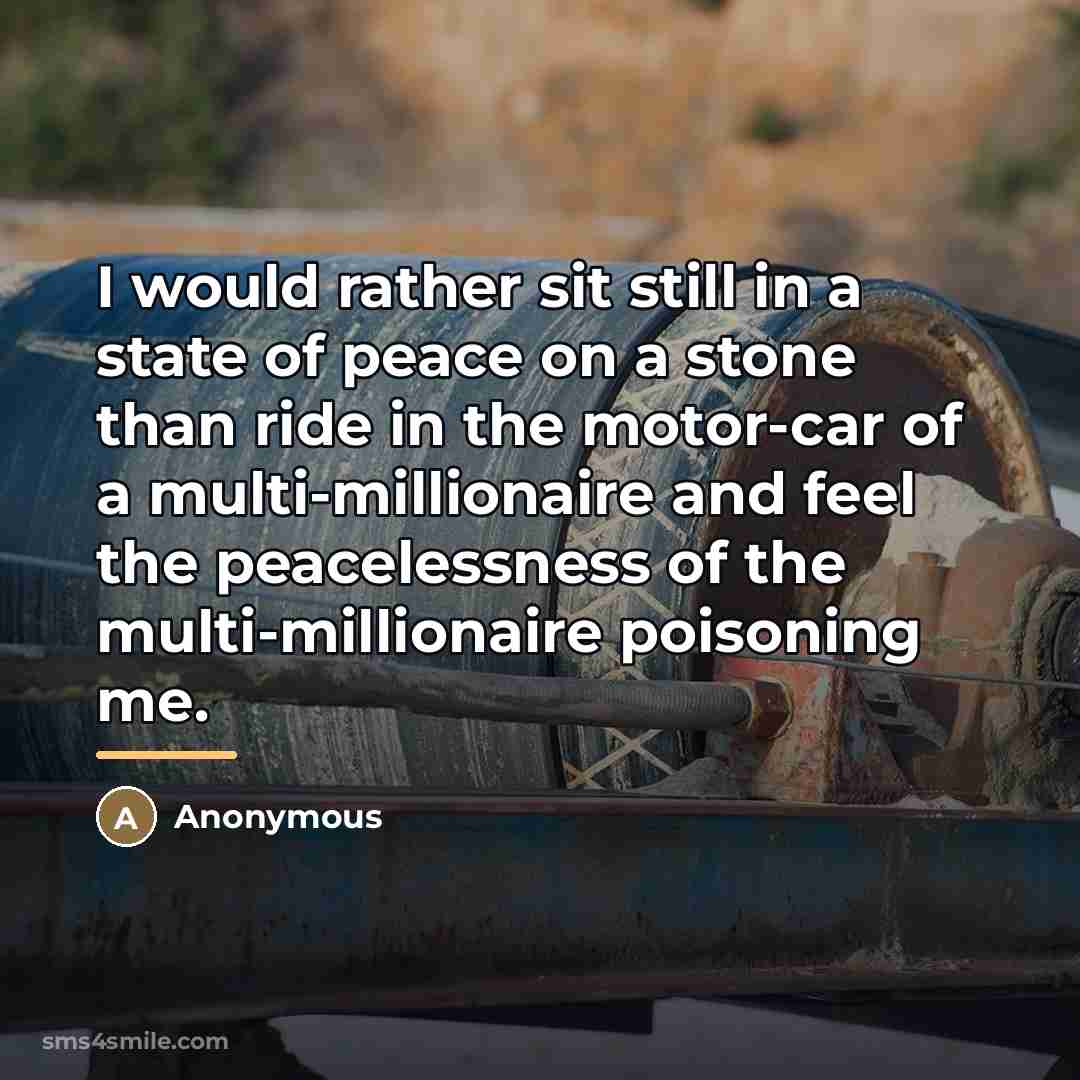 “I would rather sit still in a state of peace…” quote by Anonymous