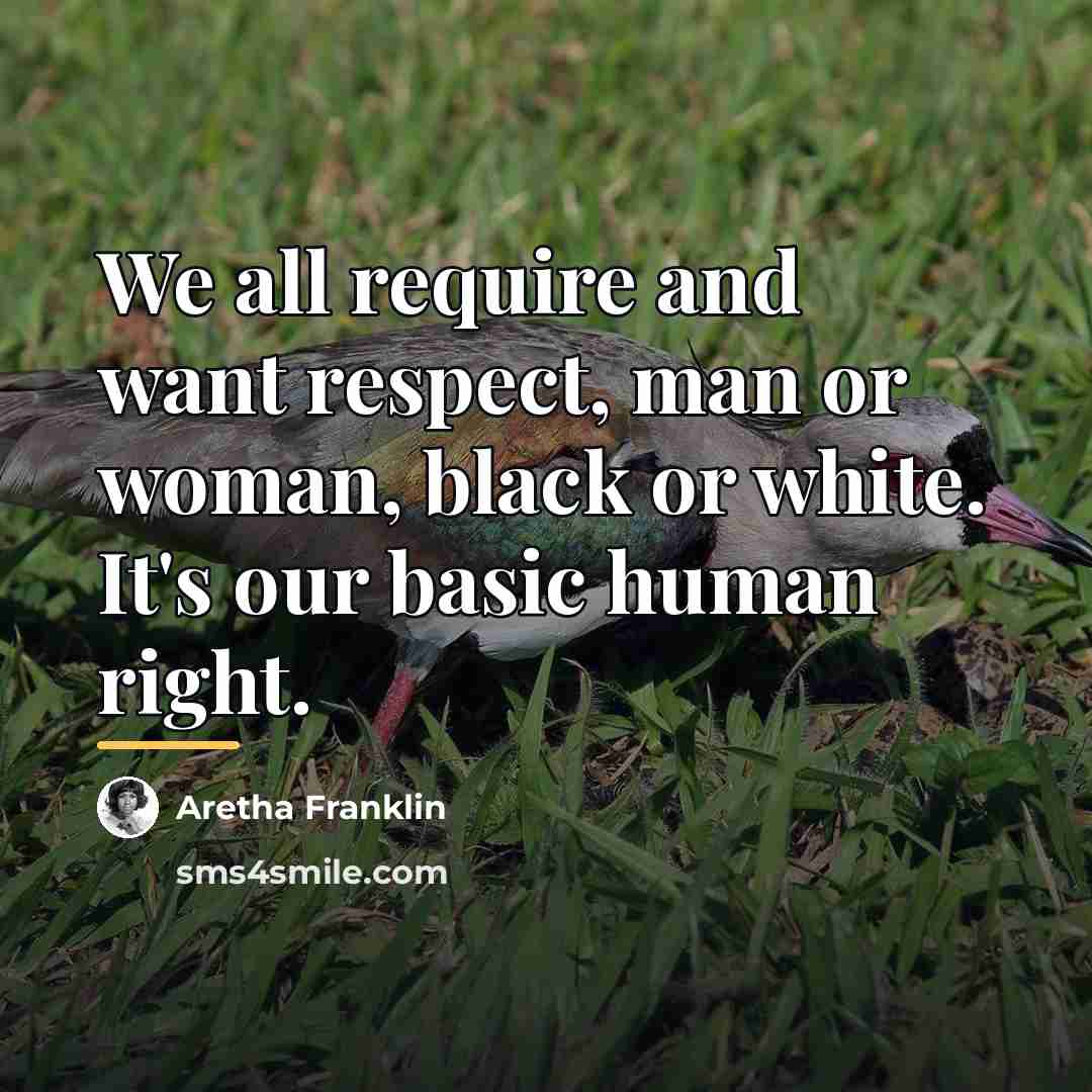 “We all require and want respect, man or woman, black…” quote by Aretha Franklin