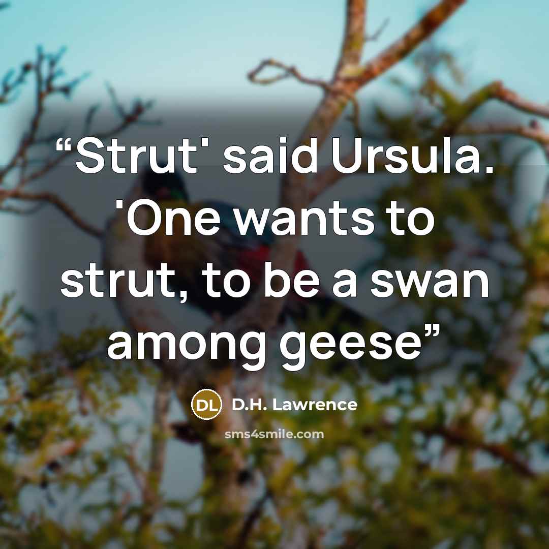 “Strut' said Ursula. 'One wants to strut, to be a swan among geese” quote by D.H. Lawrence