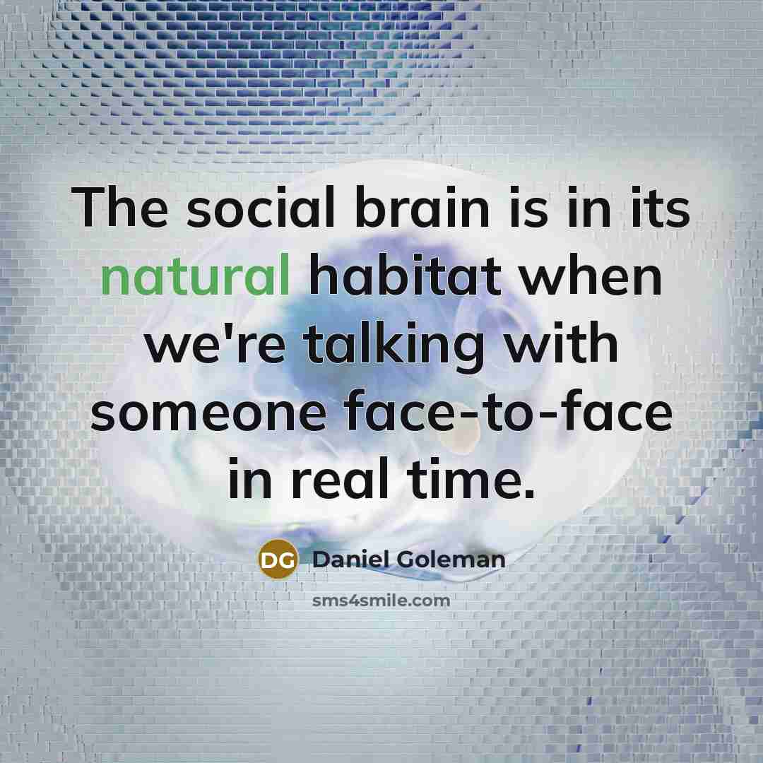“The social brain is in its natural habitat when we're…” quote by Daniel Goleman