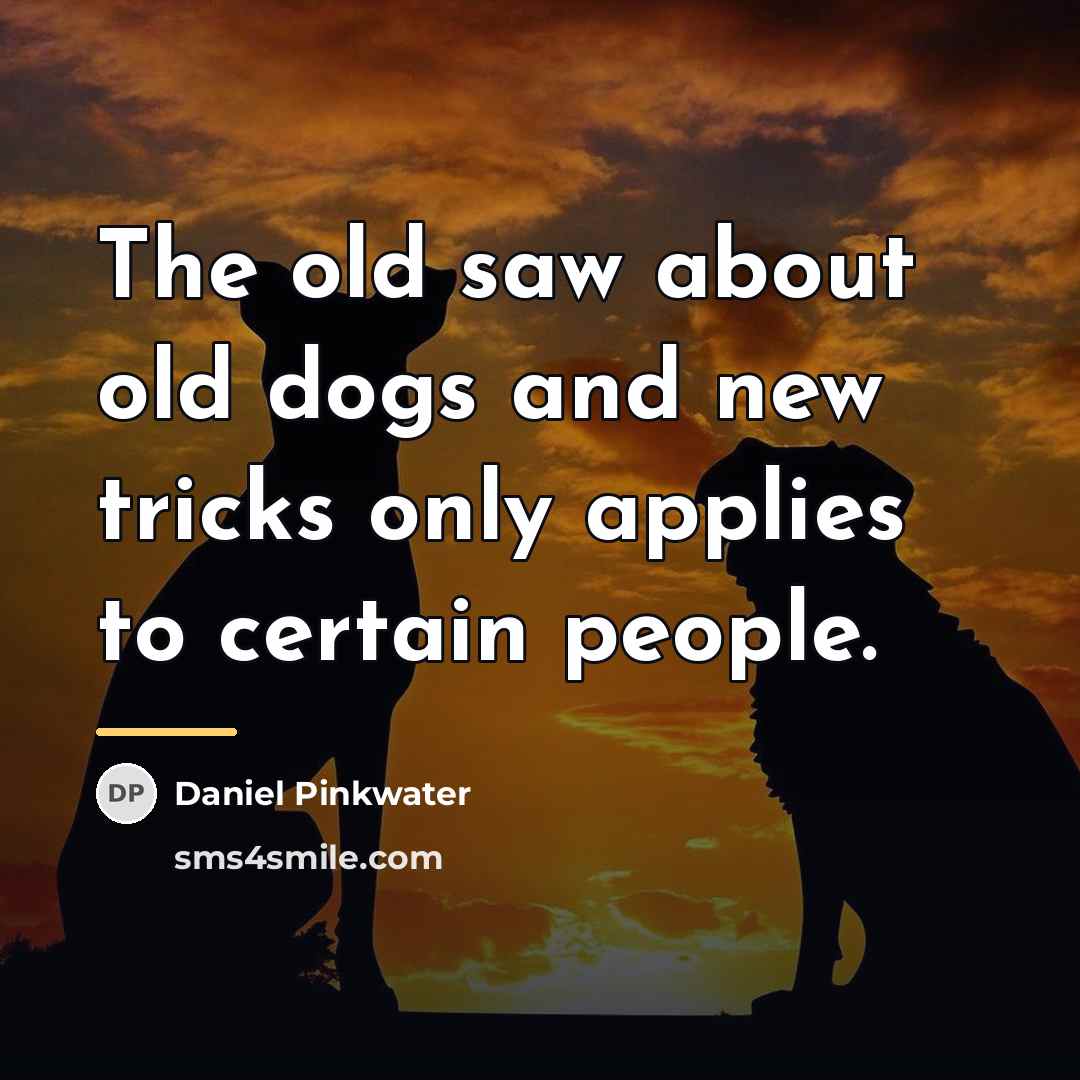 “The old saw about old dogs and new tricks only…” quote by Daniel Pinkwater