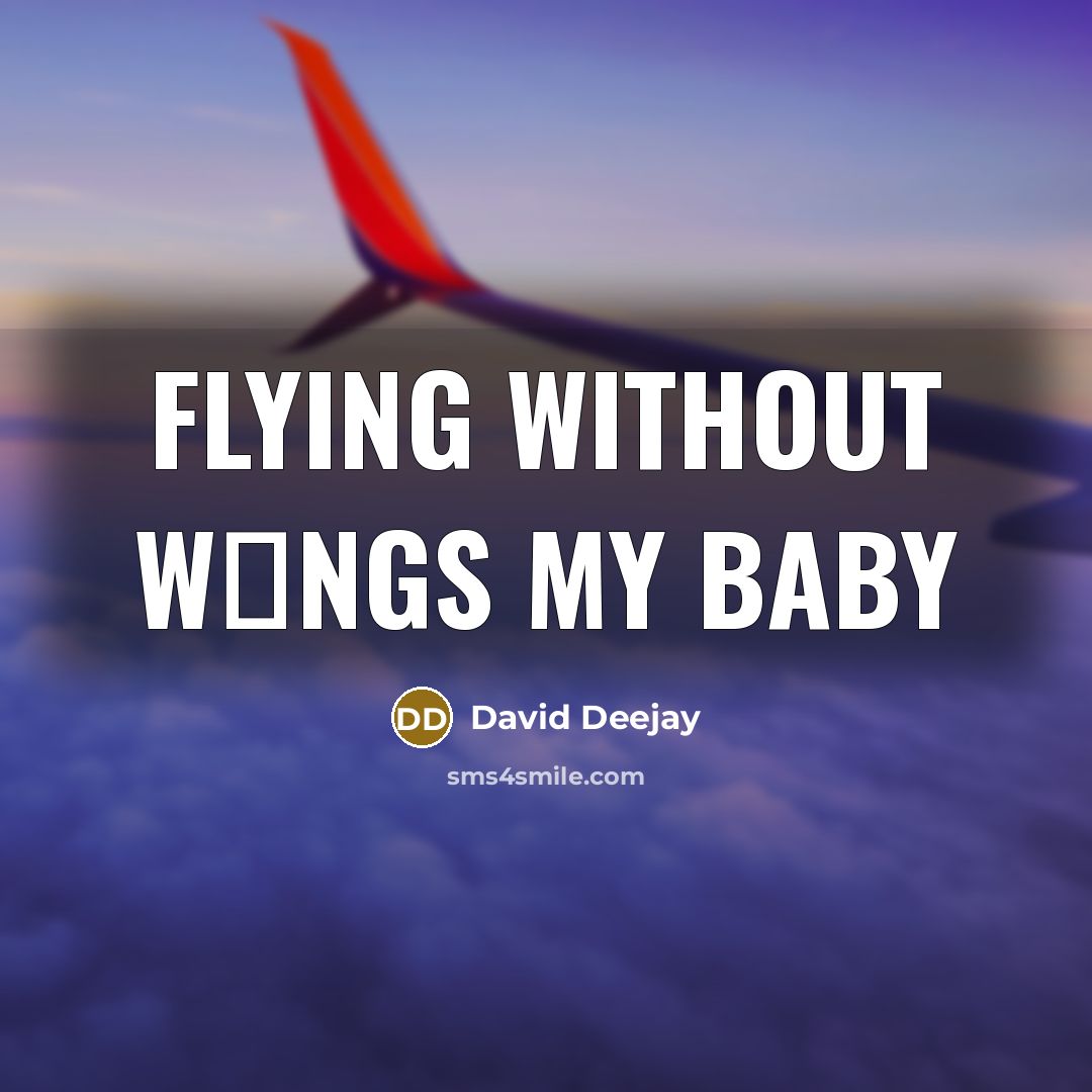 “Flying without w�ngs my baby…” quote by David Deejay