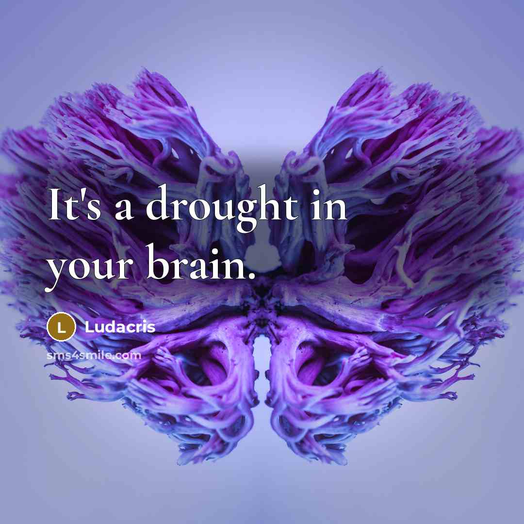 “It's a drought in your brain.…” quote by Ludacris