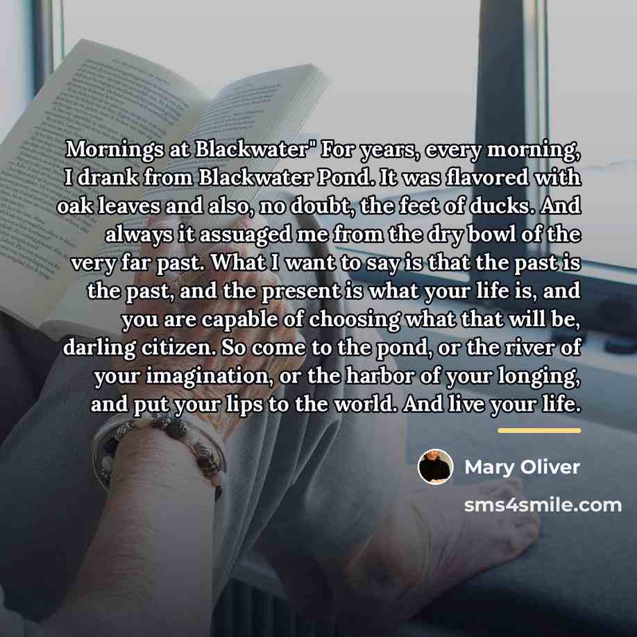 “Mornings at Blackwater" For years, every morning, I drank from…” quote by Mary Oliver