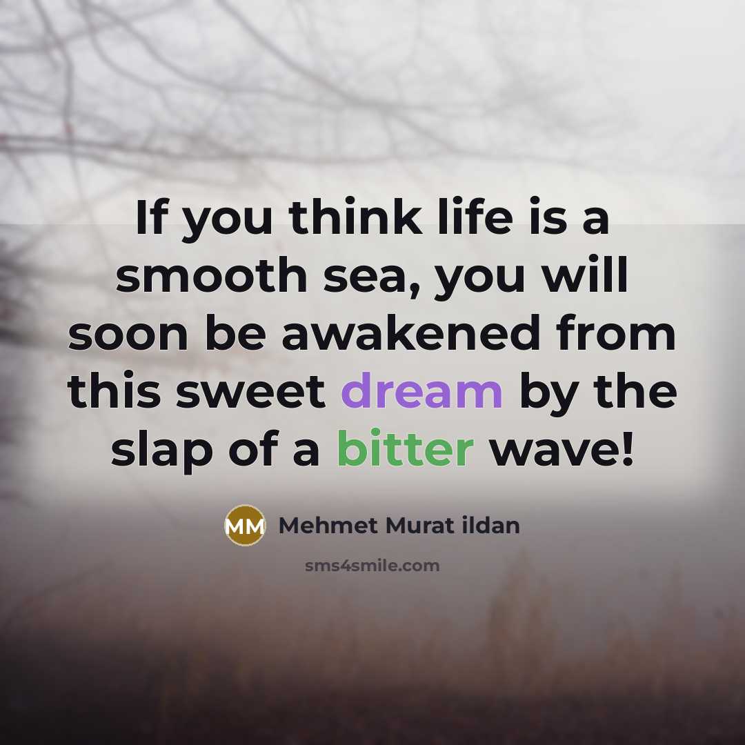 “If you think life is a smooth sea, you will…” quote by Mehmet Murat Ildan