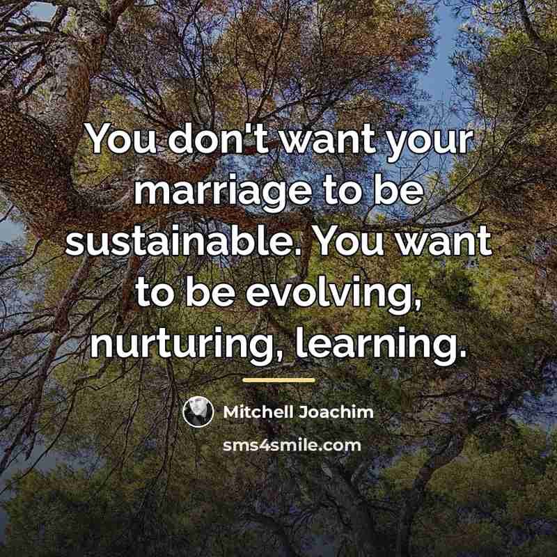 “You don't want your marriage to be sustainable. You want…” quote by Mitchell Joachim