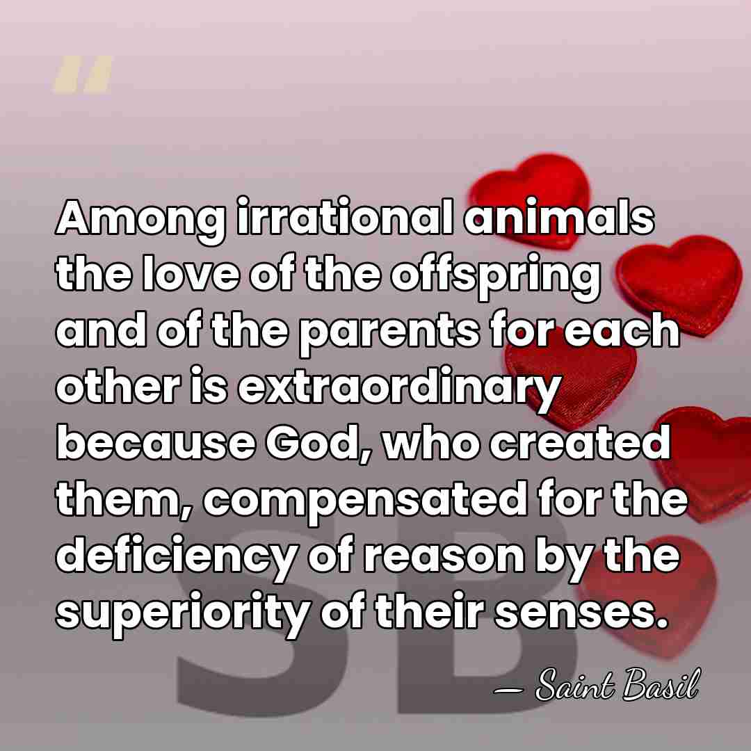 Among irrational animals the love of the offspring and of the parents&hellip; - Saint Basil