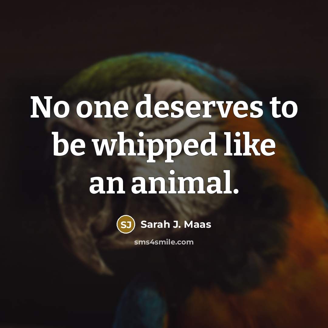 “No one deserves to be whipped like an animal.…” quote by Sarah J. Maas