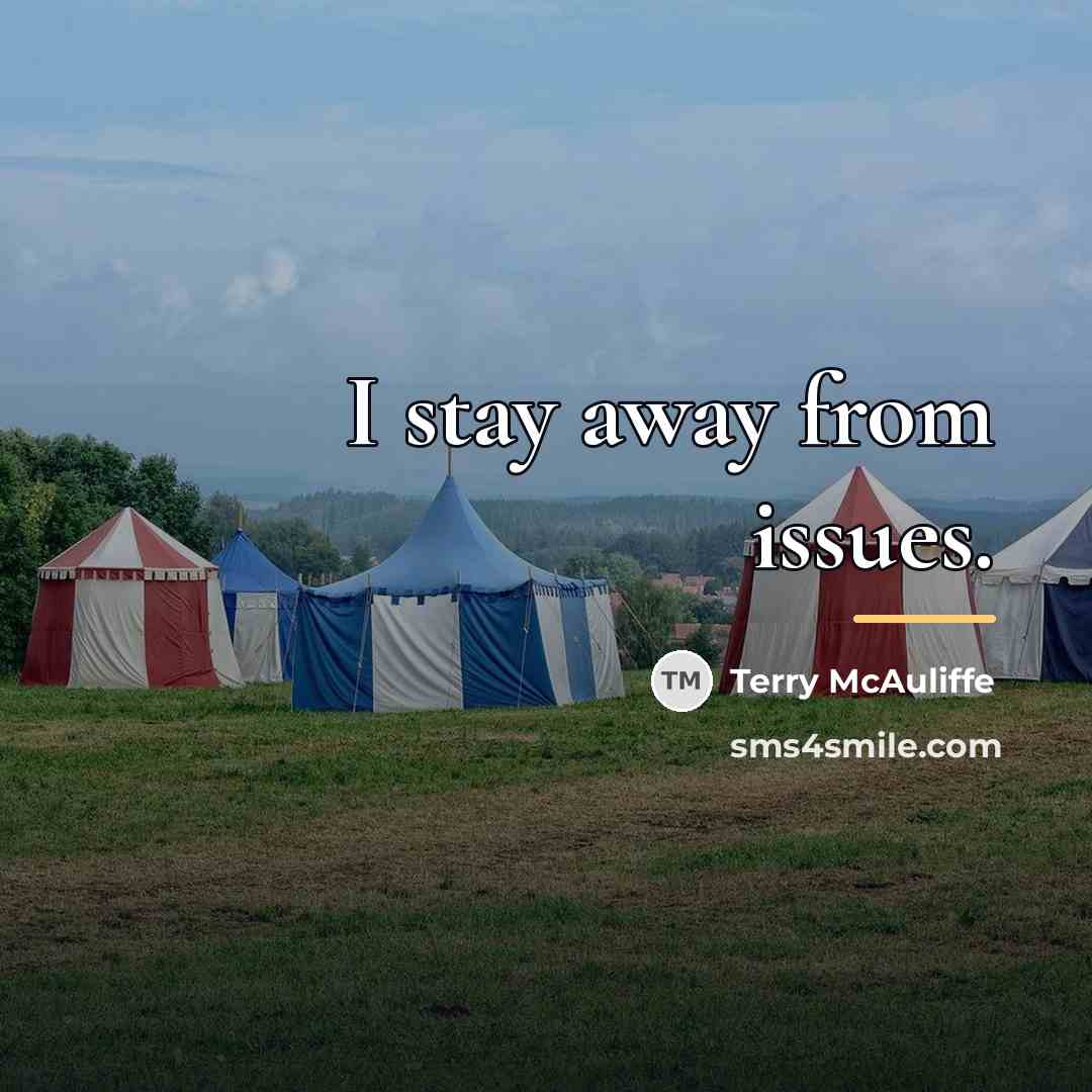 “I stay away from issues.…” quote by Terry McAuliffe
