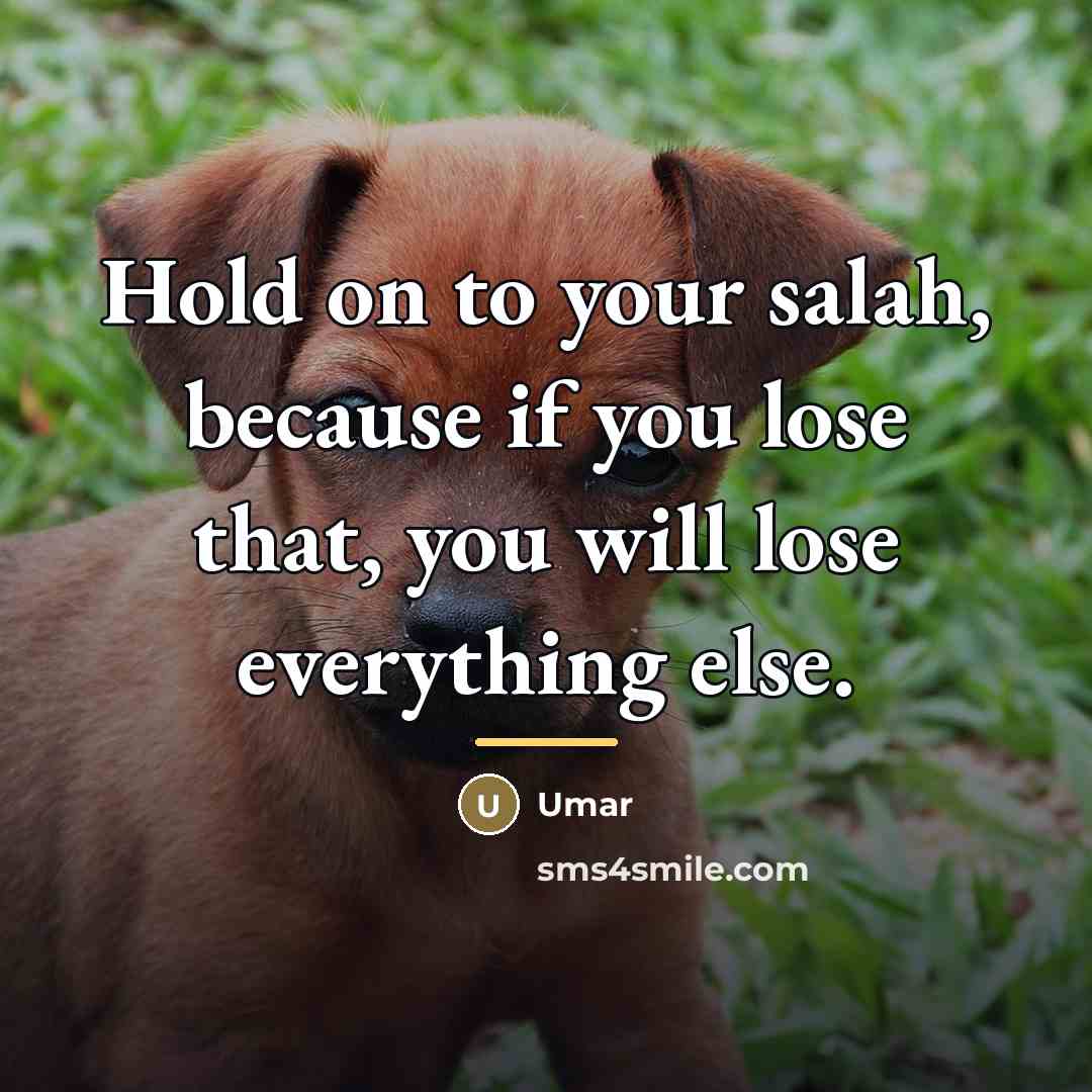 “Hold on to your salah, because if you lose that,…” quote by Umar