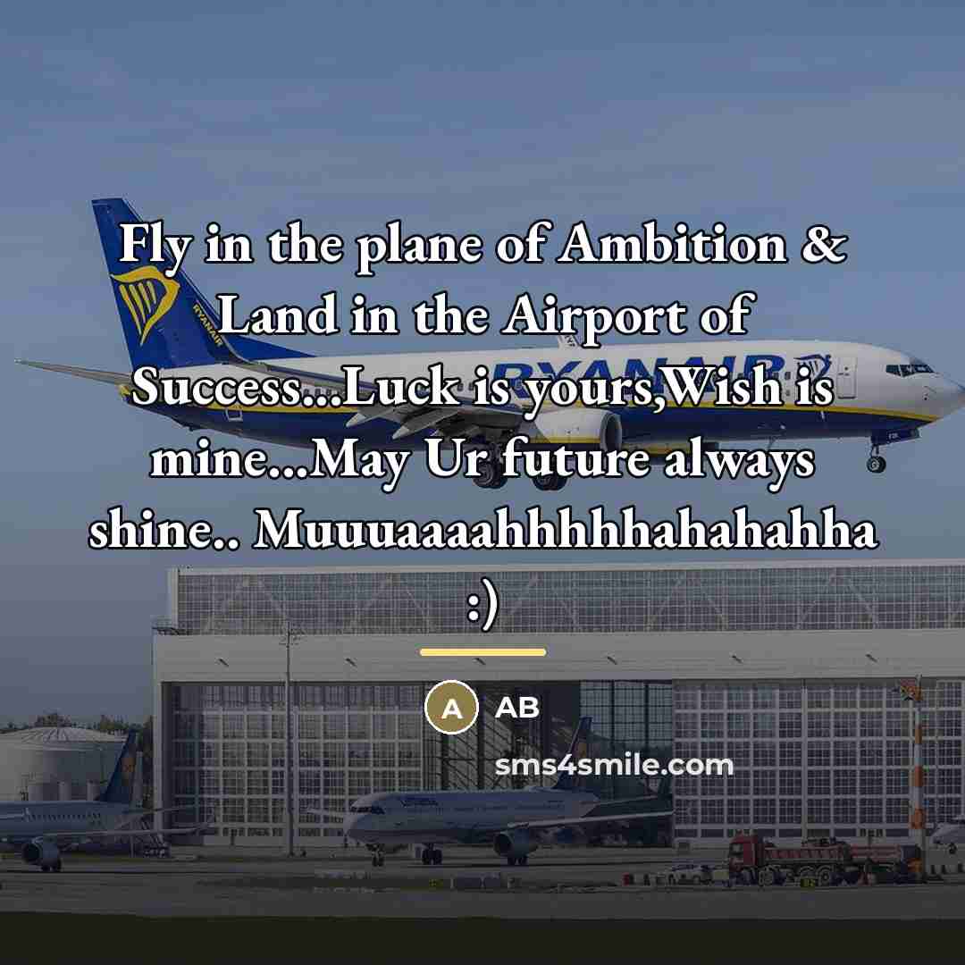 “Fly in the plane of Ambition & Land in the…” quote by AB