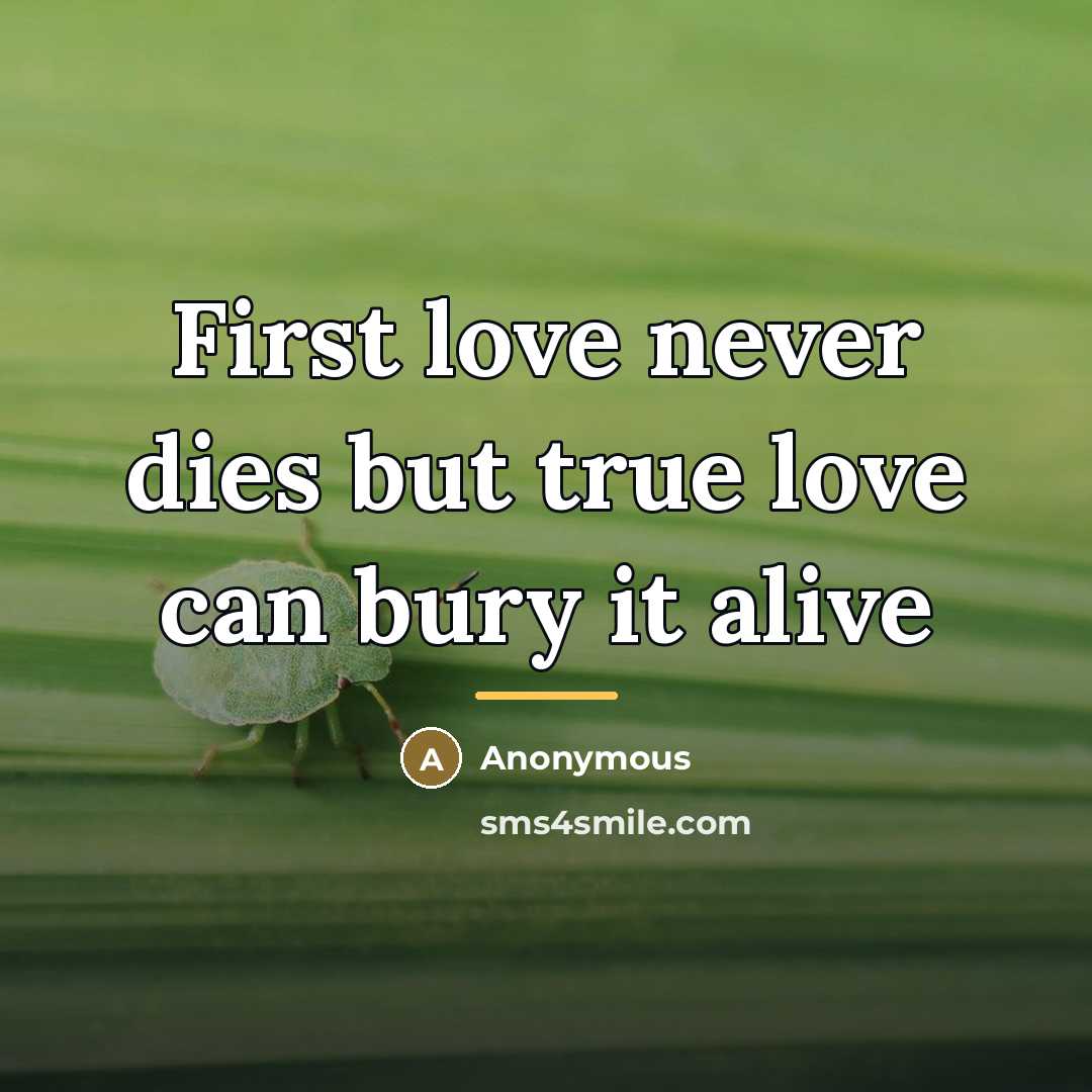 “First love never dies but true love can bury it…” quote by Anonymous