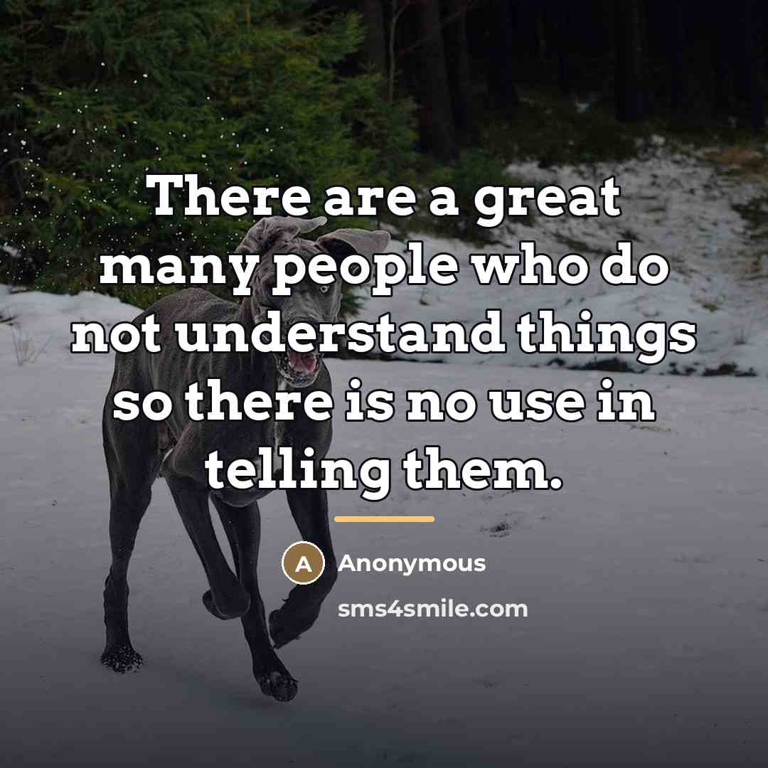 “There are a great many people who do not understand…” quote by Anonymous
