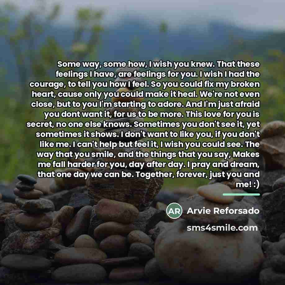 “Some way, some how, I wish you knew. That these…” quote by Arvie Reforsado