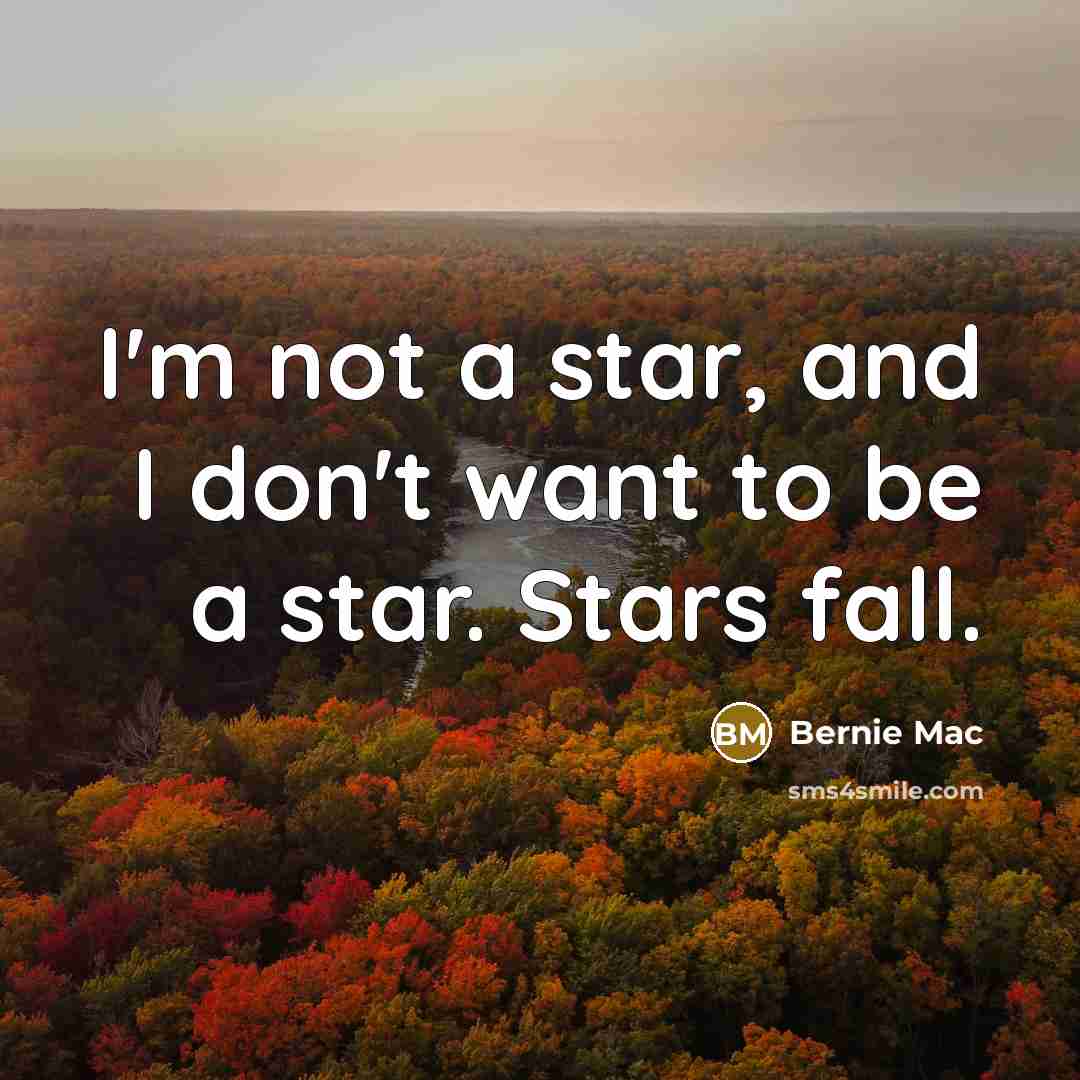 “I`m not a star, and I don't want to be…” quote by Bernie Mac