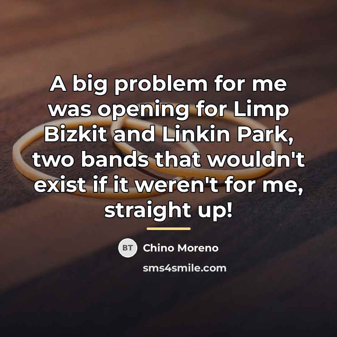“A big problem for me was opening for Limp Bizkit…” quote by Chino Moreno