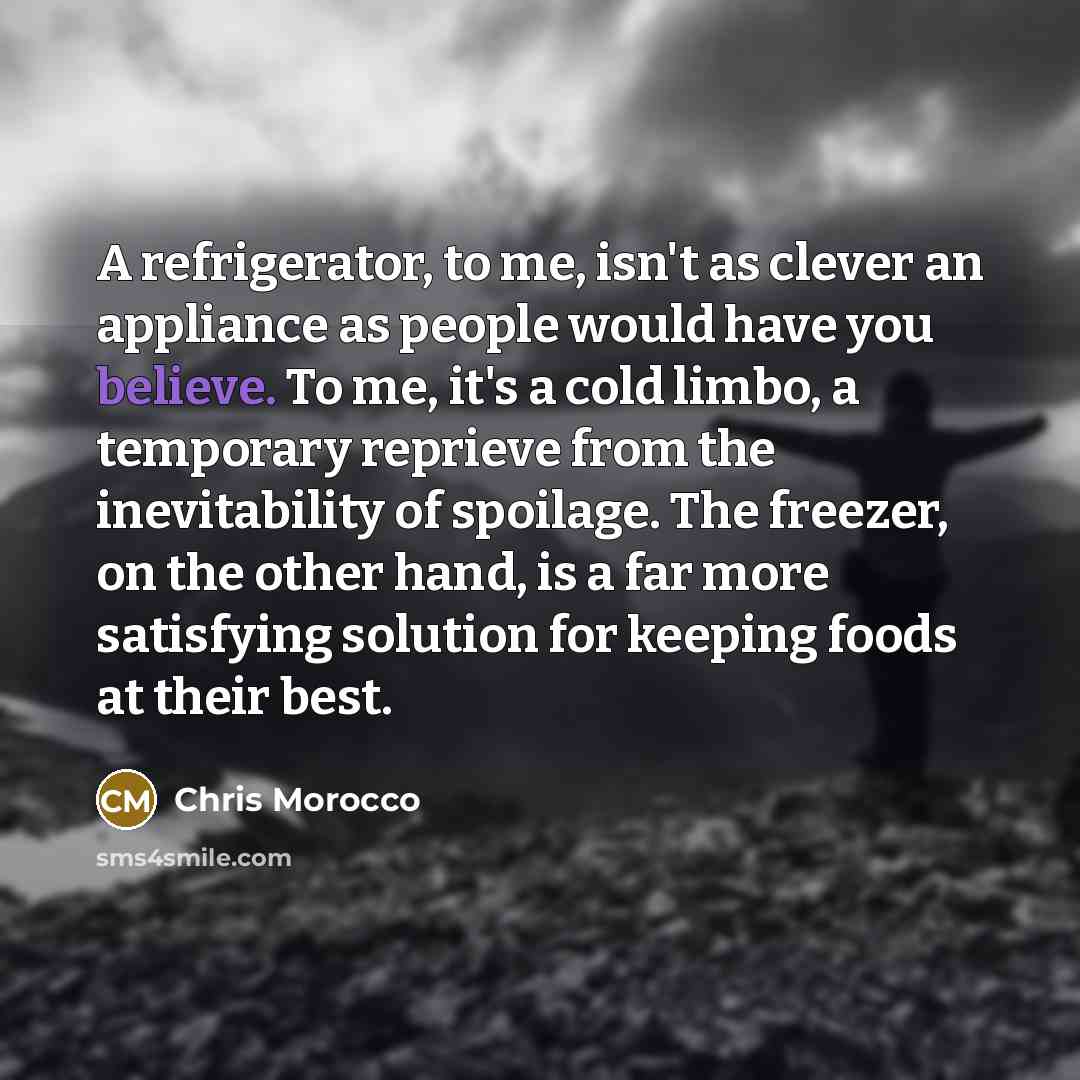 “A refrigerator, to me, isn't as clever an appliance as…” quote by Chris Morocco